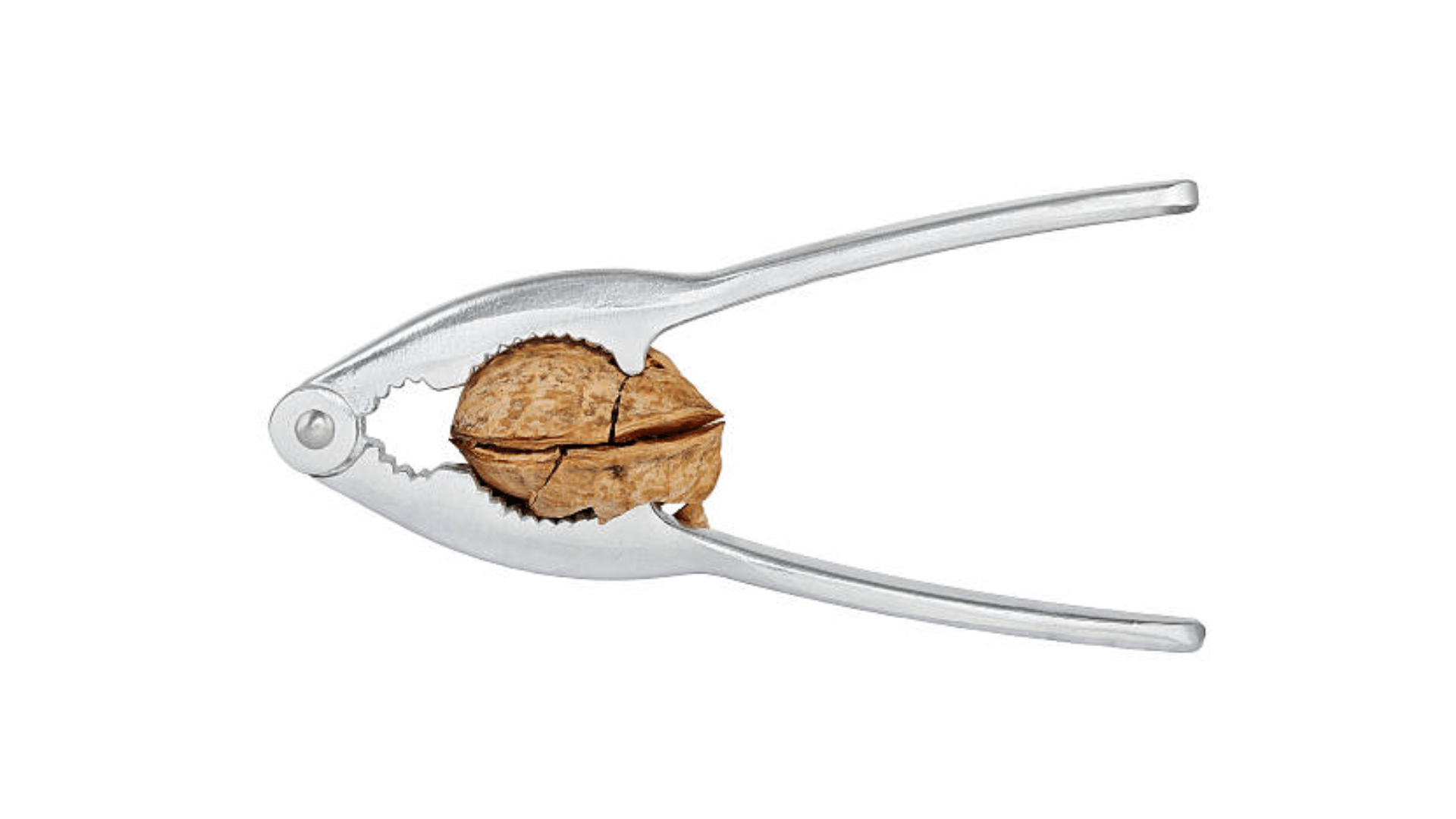 TOP CHOICE NUT CRACKER